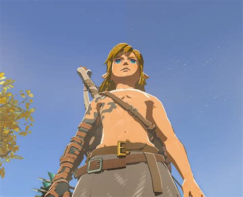 link nude|The Legend of Zelda: Tears of the Kingdom's mods of the month.